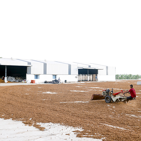 Coco Peat Exporters in India